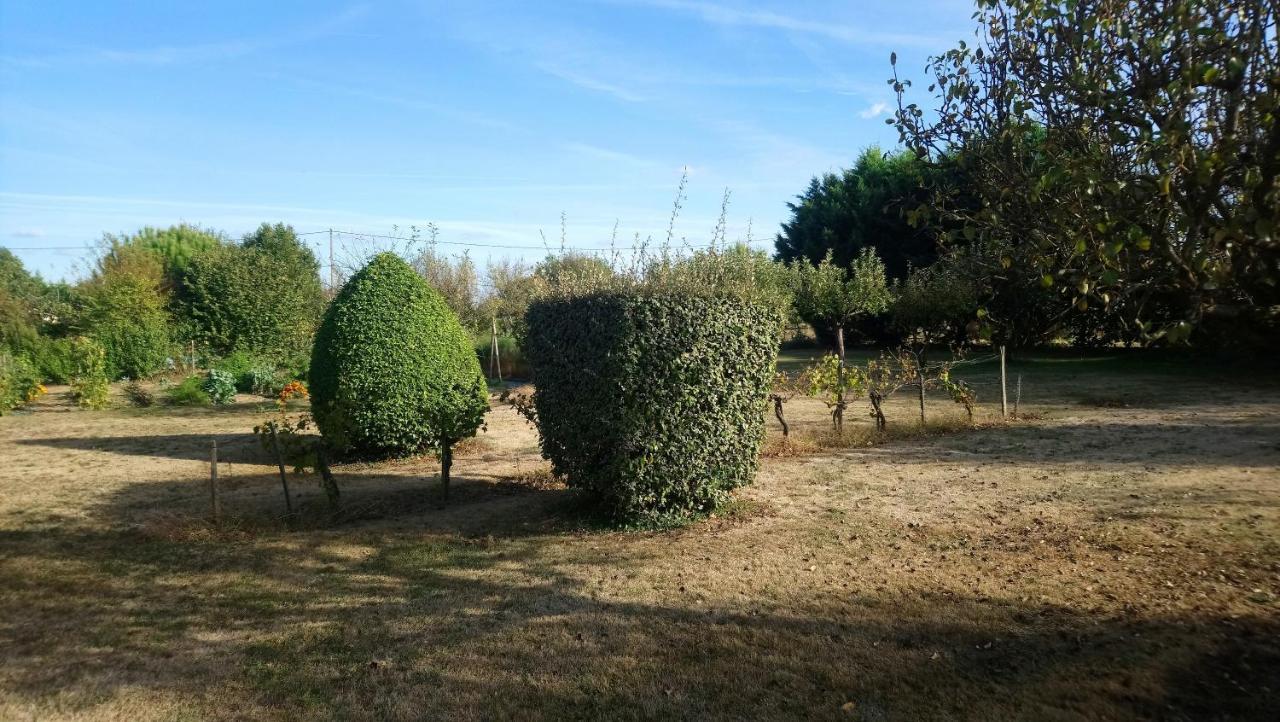 Chambres D'Hotes Du Domaine De Lansac Lansac  Kültér fotó